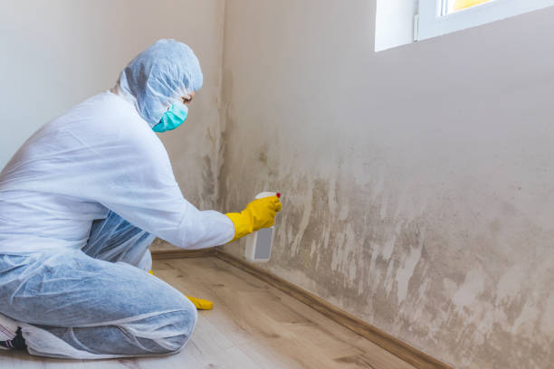 Licensed Mold Remediation service in Newberg, OR - WQB Mold Removal