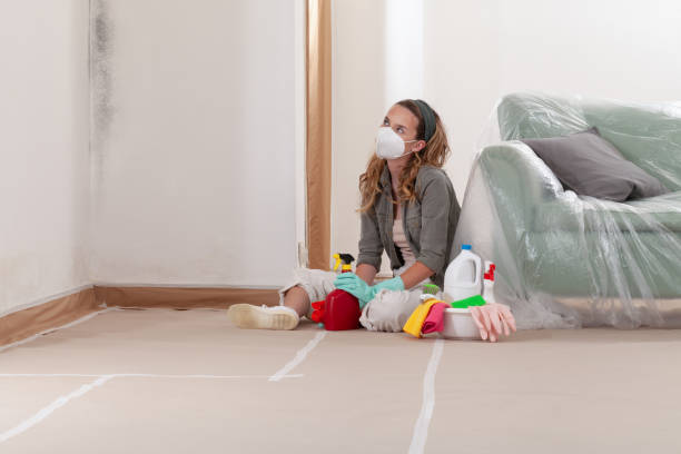 Reliable Mold Remediation contractor in Newberg, OR by WQB Mold Removal